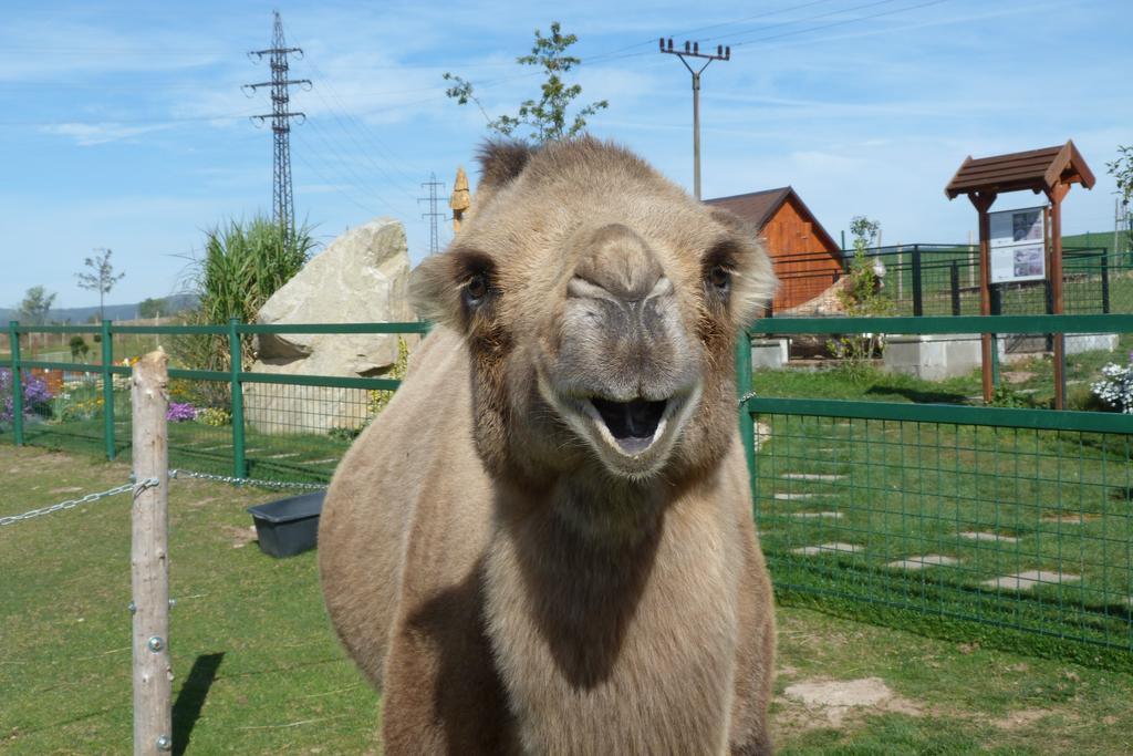 فيلا Farma Wenet بروموف المظهر الخارجي الصورة