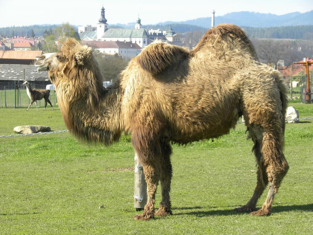 فيلا Farma Wenet بروموف المظهر الخارجي الصورة